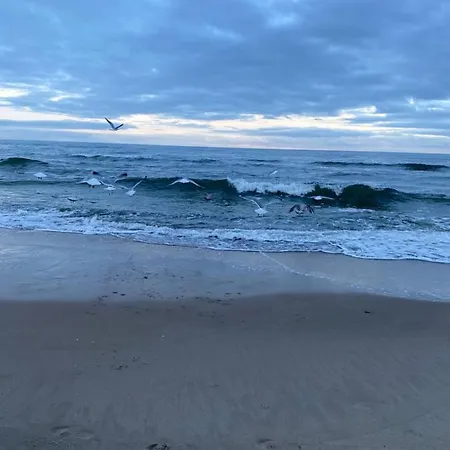 Baltic 16b/5 アパート *