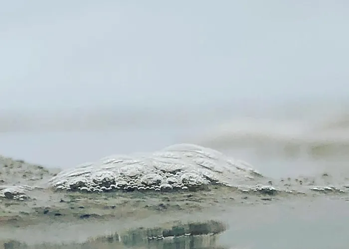 Baltic 16b/5 * פוביירובו