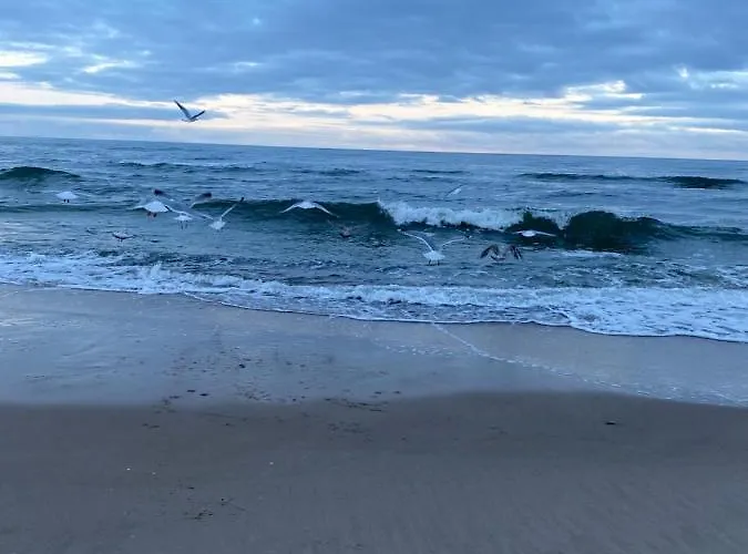 Baltic 16b/5 דירה *